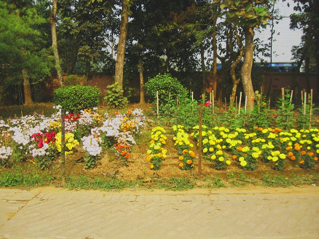 IMG 0080