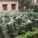 IMG_0056.JPG