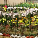 IMG_0058.JPG