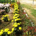 IMG_0059.JPG