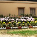 IMG_0060.JPG