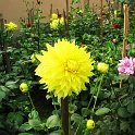 IMG_0062.JPG