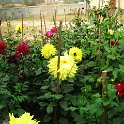 IMG_0063.JPG