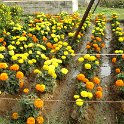 IMG_0065.JPG