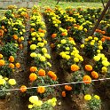 IMG_0066.JPG
