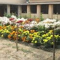 IMG_0068.JPG