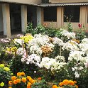IMG_0071.JPG