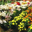IMG_0073.JPG