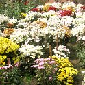 IMG_0074.JPG