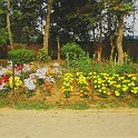 IMG_0080.JPG
