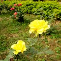 IMG_0083.JPG