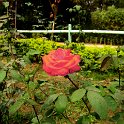 IMG_0085.JPG