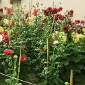 IMG_9983.JPG