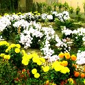 IMG_9986.JPG